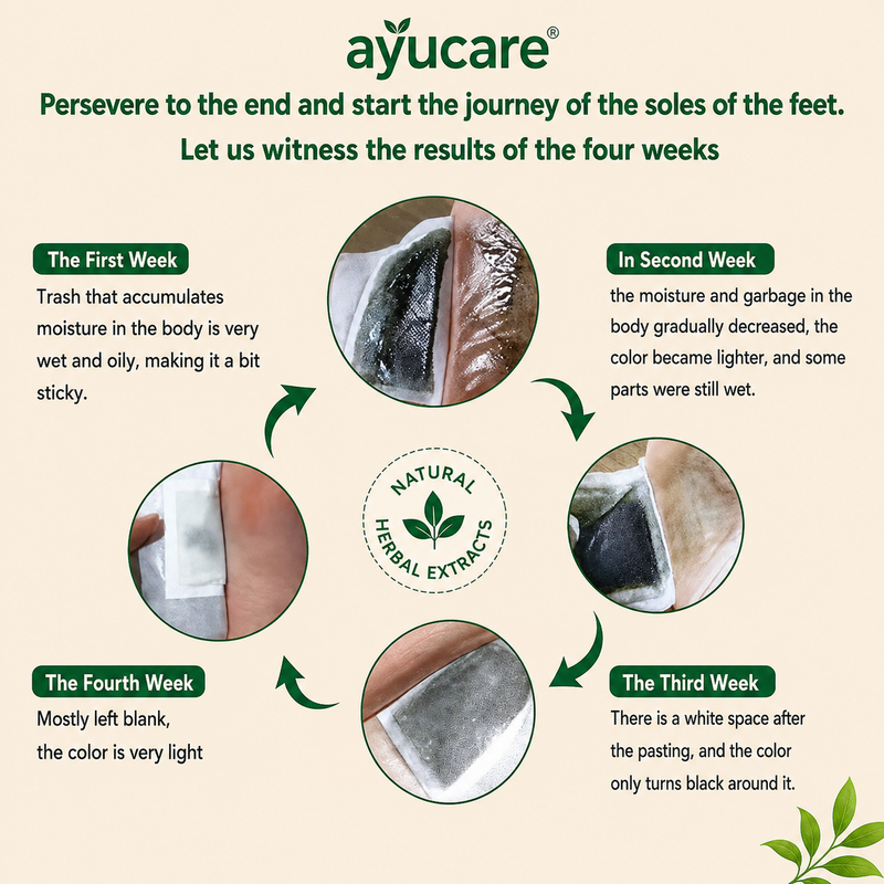 Detox Foot Pads - Natural & Herbal Pads | Overnight Wellness Buy 1 Get 1 FREE